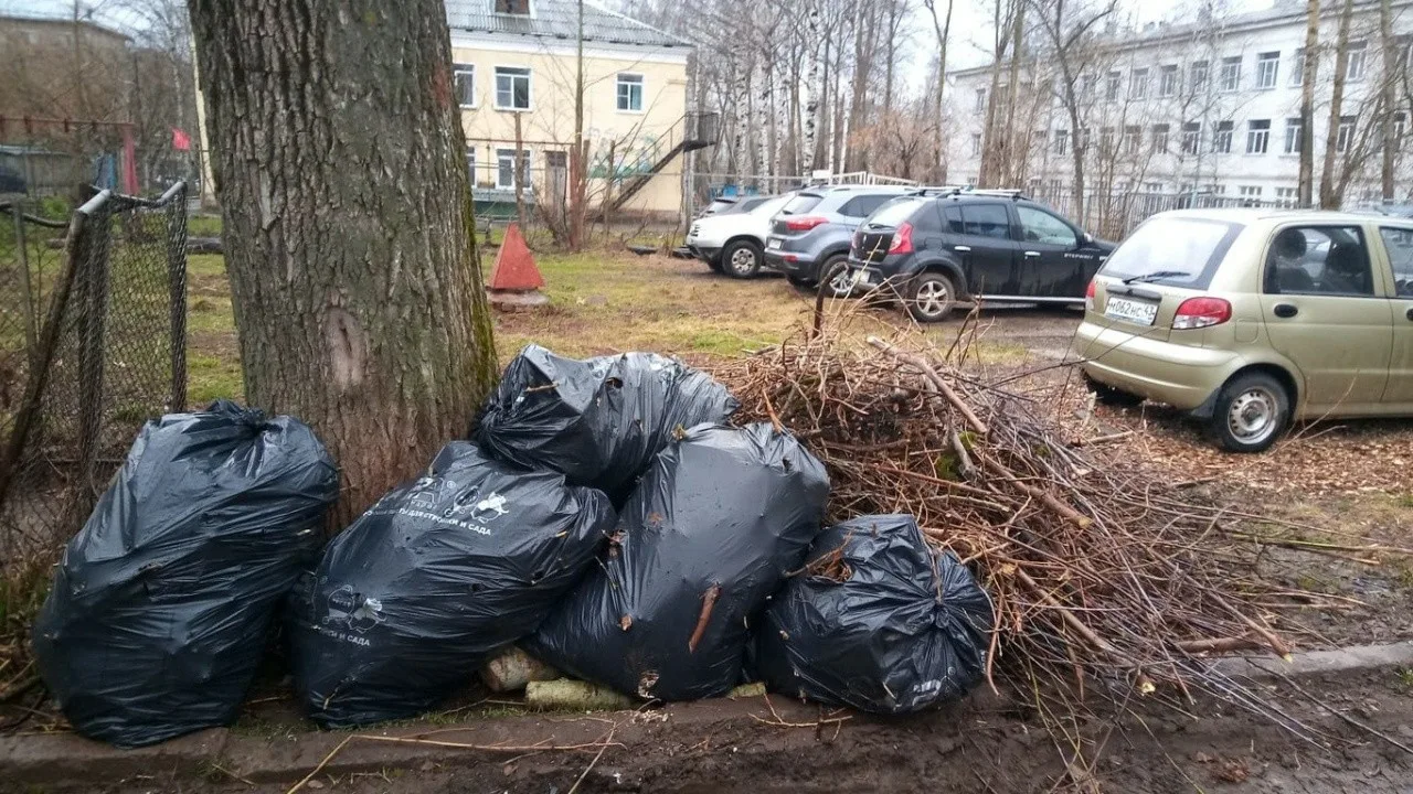 Вывоз мусора после субботника в Туле от ПроМусор-Тул – уборка и утилизация отходов от 2390 руб