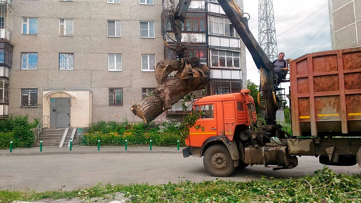 Вывоз спиленных веток и деревьев в Туле от ПроМусор-Тул: порубочные остатки, утилизация, цена от 2949 руб
