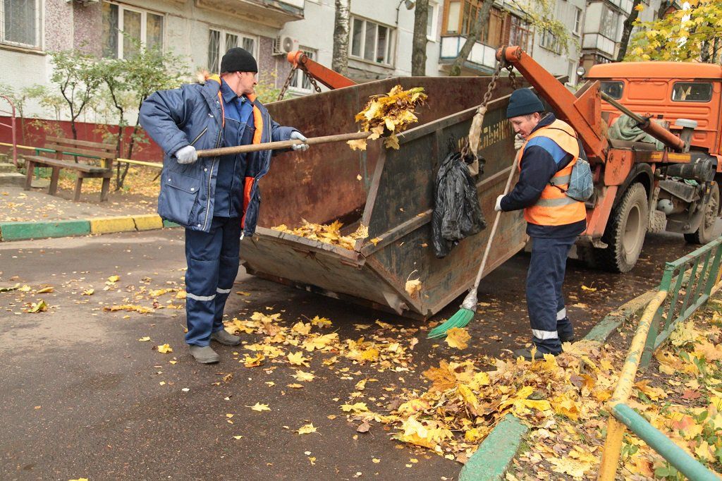 Вывоз опавшей листвы и растительного мусора в Туле от ПроМусор-Тул – цена от 4576 руб., быстрая уборка и утилизация